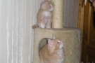2007-10-27_07.jpg