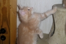 2007-10-27_11.jpg