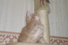 2007-10-27_12.jpg