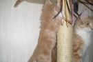 2007-10-27_18.jpg