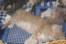 2007-10-27_33.jpg
