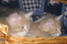 2007-10-27_36.jpg