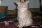 2007-11-10_05.jpg