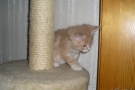 2007-11-10_06.jpg