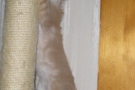 2007-11-10_13.jpg