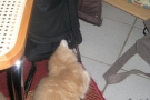 2007-11-10_20.jpg