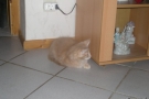 2007-11-10_25.jpg
