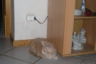2007-11-10_26.jpg