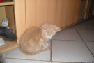 2007-11-10_28.jpg