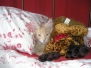 Aragon & Azrael [2007-11-28]