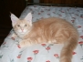 Aragon & Azrael [2007-12-16]