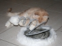 Aragon & Azrael [2007-12-19]