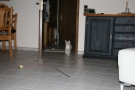 img_0883.jpg
