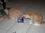 Aragon & Azrael [2008-01-15]