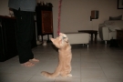 img_1166.jpg