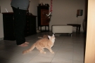 img_1174.jpg