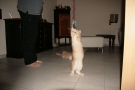 img_1175.jpg