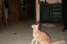 IMG_1288.jpg