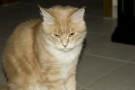 _MG_1834.JPG