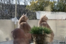 _MG_1923.jpg