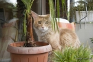 20080506_1.jpg
