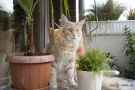 20080506_2.jpg