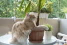 20080506_7.jpg