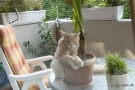 20080506_9.jpg