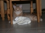 Aragon & Azrael [2008-05-11]
