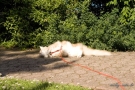 20080623_42.jpg