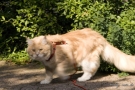 20080623_46.jpg