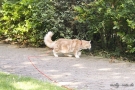 20080623_49.jpg