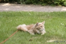 20080623_56.jpg