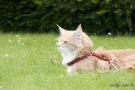 20080623_62.jpg