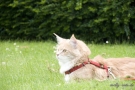 20080623_63.jpg