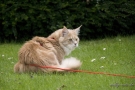 20080623_65.jpg