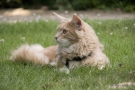 20080623_68.jpg