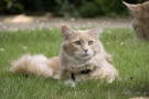 20080623_69.jpg