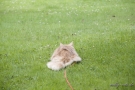 20080623_7.jpg