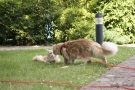 20080623_70.jpg
