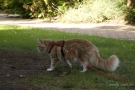 20080623_71.jpg