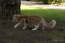 20080623_72.jpg
