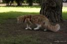 20080623_73.jpg