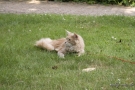 20080623_74.jpg