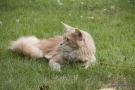 20080623_75.jpg