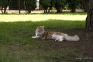 20080623_76.jpg
