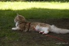20080623_77.jpg