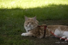 20080623_78.jpg