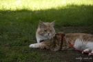 20080623_79.jpg