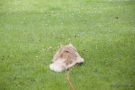 20080623_8.jpg